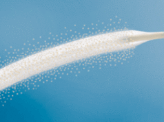 Encouraging results for Biotronik’s Passeo-18 Lux drug-coated balloon and Pulsar-18 bare metal stent presented at LINC 2017