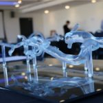 3D printed model aorta
