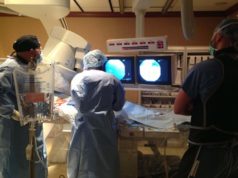 Gastric embolization leads to loss of muscle as well as fat