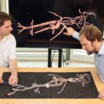 Bild IntelliCath mit Torben Pätz und Jan Strehlow