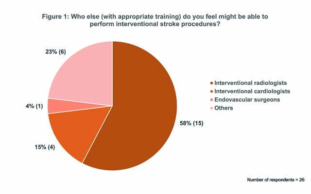 who do you feel might be able to perform interventional stroke procedures