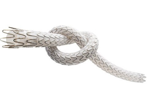 Torus stent graft (PQ Bypass)