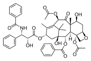 High- and low-dose paclitaxel-coated balloons exhibit comparable results