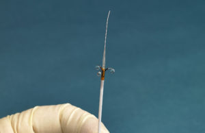 Ablative Solutions announces publication of data from the Peregrine post-market study