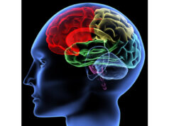 Stereotactic radiosurgery effective for treating some vestibular schwannomas