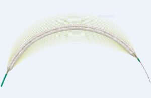 Biotronik announces one-year subgroup results from BIOPACT RCT Biotronik