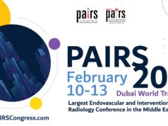 Roundtable sparks audience discussion on the pitfalls and successes in global IR training pathways