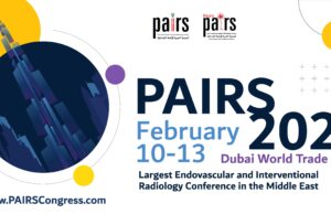 Roundtable sparks audience discussion on the pitfalls and successes in global IR training pathways