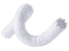 Merit Medical’s Wrapsody WAVE trial demonstrates superior patency versus standard of care in AV fistula patients