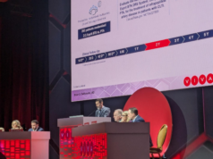 Two-year LIFE-BTK data show sustained benefits of drug-eluting resorbable scaffold for below-the-knee arteries