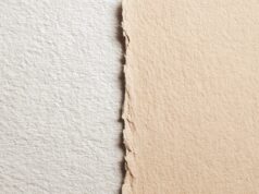 The greater good: Is it time DR and IR part ways? Expert panellists have their say DR