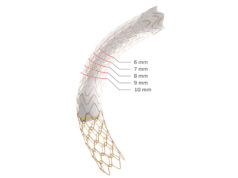 Gore announces US FDA approval of expanded Viatorr TIPS endoprosthesis Viatorr