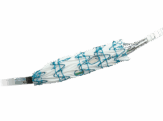 Terumo Aortic announces launch of Fenestrated Treo pivotal IDE study in USA