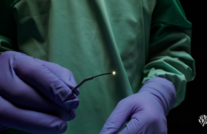 Vena Medical secures US FDA clearance for MicroAngioscope system