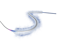 LUMIFOLLOW registry shows sustained three-year performance of Luminor in femoropopliteal disease lumifollow