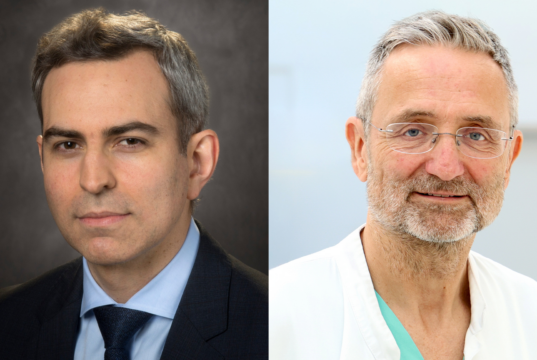 International society-endorsed consensus documents on liver tumour thermal ablation published thermal ablation