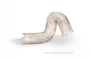 MDR approval granted for Gore’s Fortegra venous stent