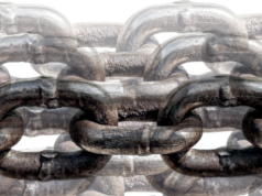 “Gatekeeping”, “fear” and “misinformation” continue to mar global UAE uptake, say experts UAE
